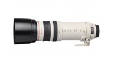 Canon EF 100-400 mm f4-5.6 L IS USM