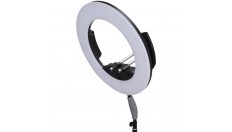 Ledgo R320C bi-color ring light